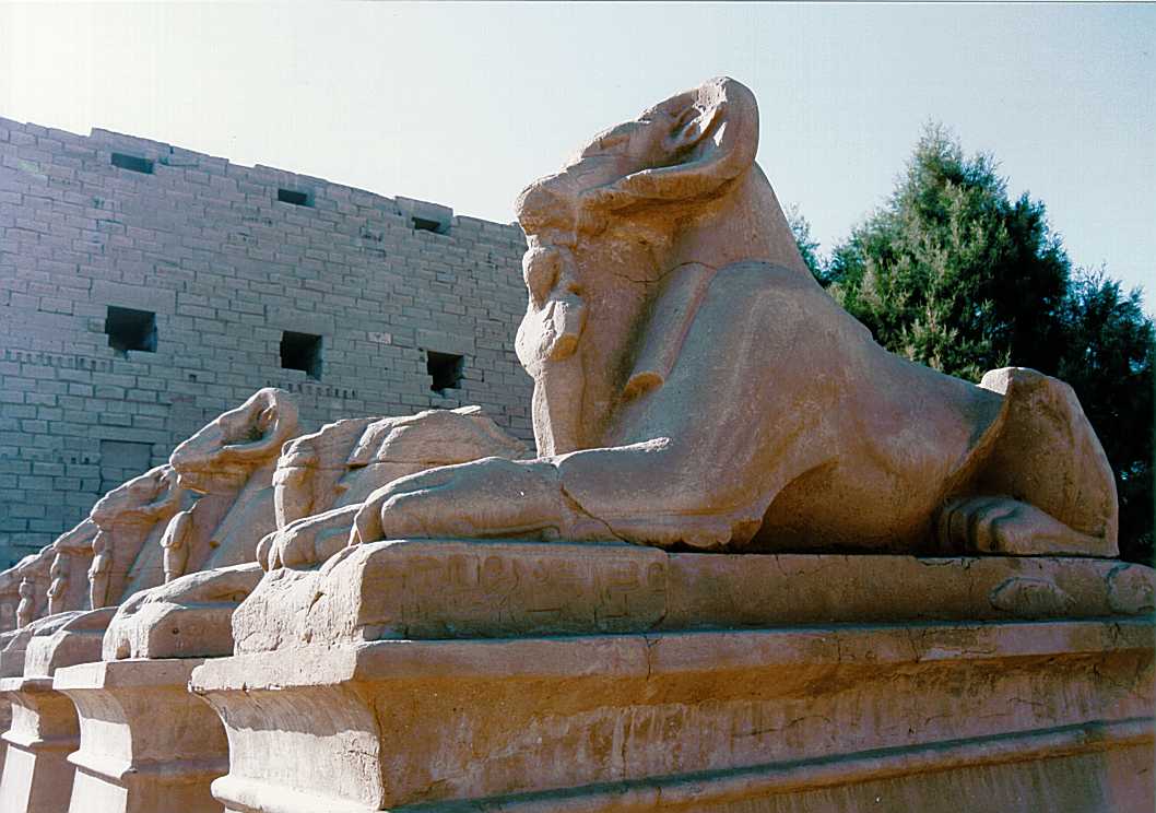 Karnak   Sphinxes